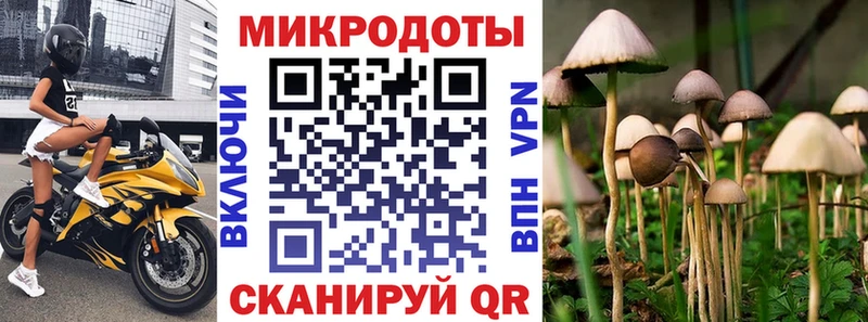 где найти   Торопец  ОМГ ОМГ ССЫЛКА  Галлюциногенные грибы Psilocybine cubensis 